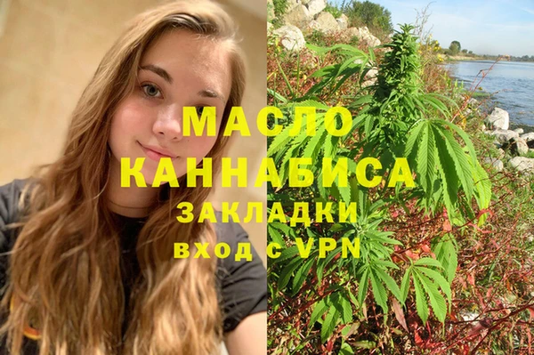 индика Заволжск