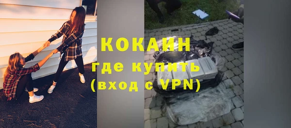 ПСИЛОЦИБИНОВЫЕ ГРИБЫ Заводоуковск