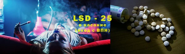 ПСИЛОЦИБИНОВЫЕ ГРИБЫ Заводоуковск