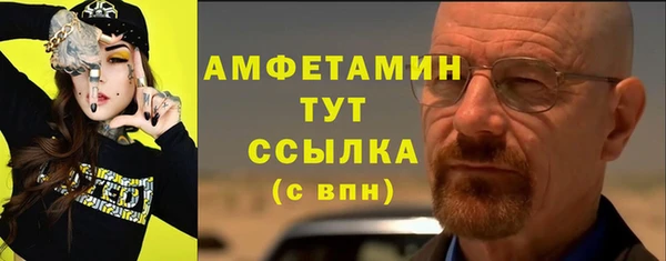 индика Заволжск