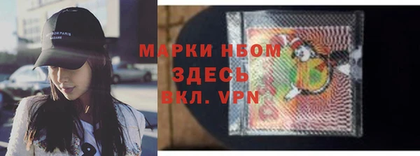 индика Заволжск
