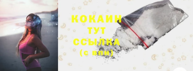 индика Заволжск