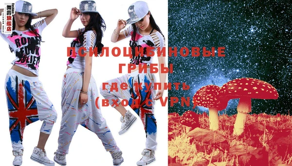 ПСИЛОЦИБИНОВЫЕ ГРИБЫ Заводоуковск