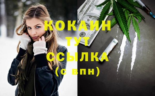 ПСИЛОЦИБИНОВЫЕ ГРИБЫ Заводоуковск