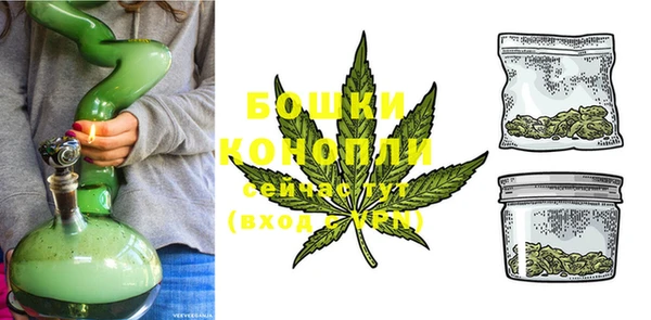 индика Заволжск