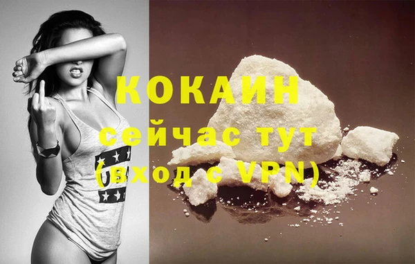ПСИЛОЦИБИНОВЫЕ ГРИБЫ Заводоуковск