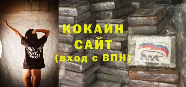индика Заволжск