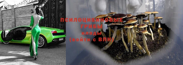 индика Заволжск