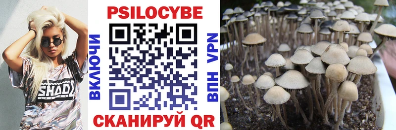 OMG зеркало  цена   Первоуральск  Псилоцибиновые грибы Cubensis 